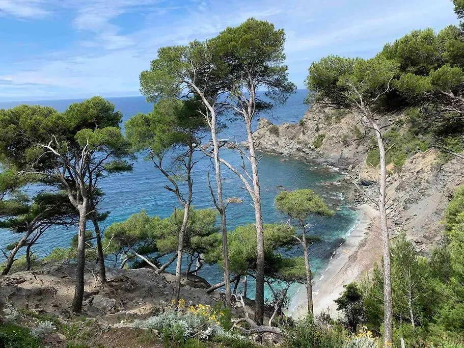Apartment Appart Vue Mer Panoramique Magique Saint-Mandrier-sur-Mer